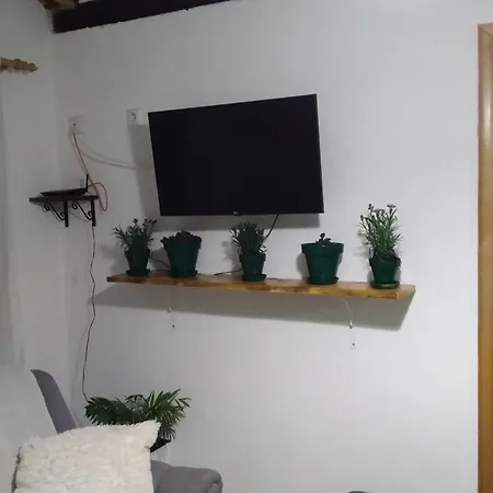 Apartamento Primus *